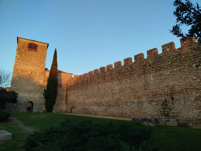 IMG-20250731-WA0005