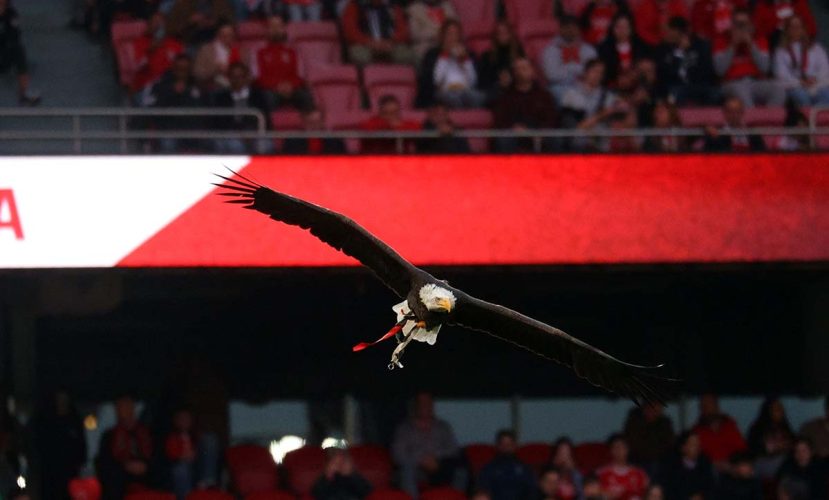 SLB 3-2 Moreirense0112